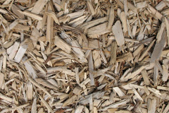 biomass boilers Sandtoft